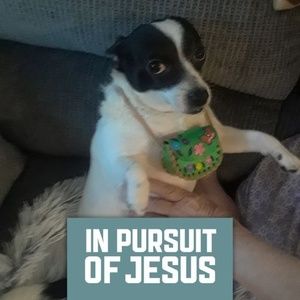 Meet your Posher, Shara